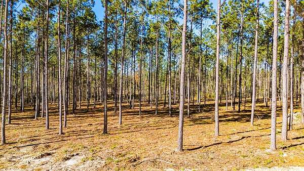5.7 Acres of Land for Sale in Moscow, Texas