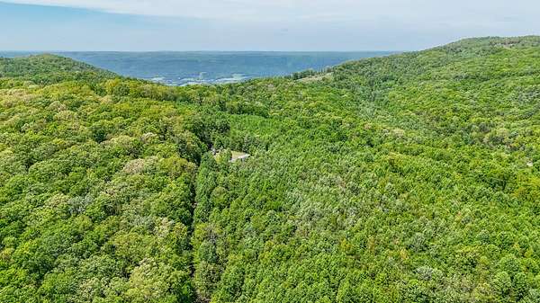 37.8 Acres of Recreational Land for Sale in Spring City, Tennessee