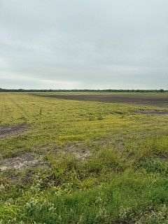 39 Acres of Land for Sale in Kingsville, Texas