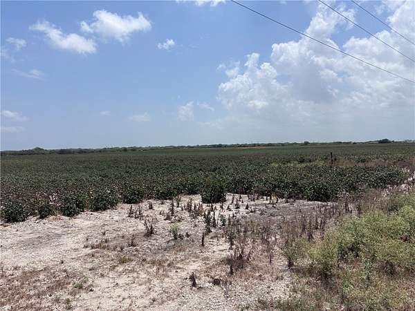 39 Acres of Commercial Land for Sale in Kingsville, Texas