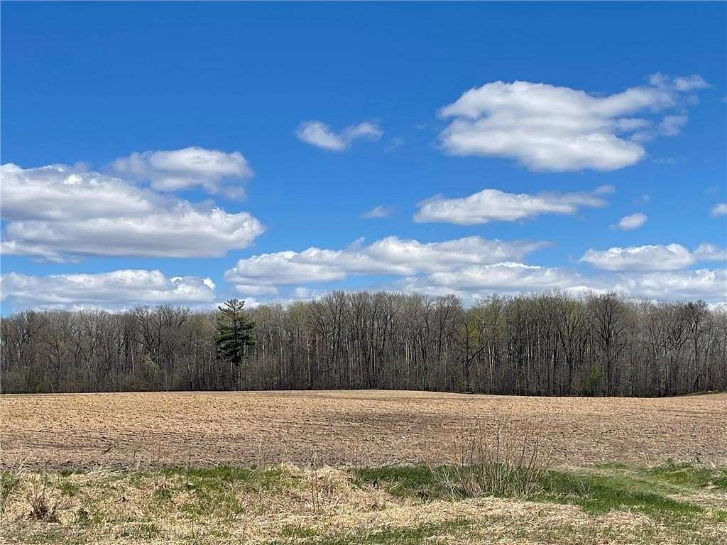 59.4 Acres of Land for Sale in Princeton, Minnesota