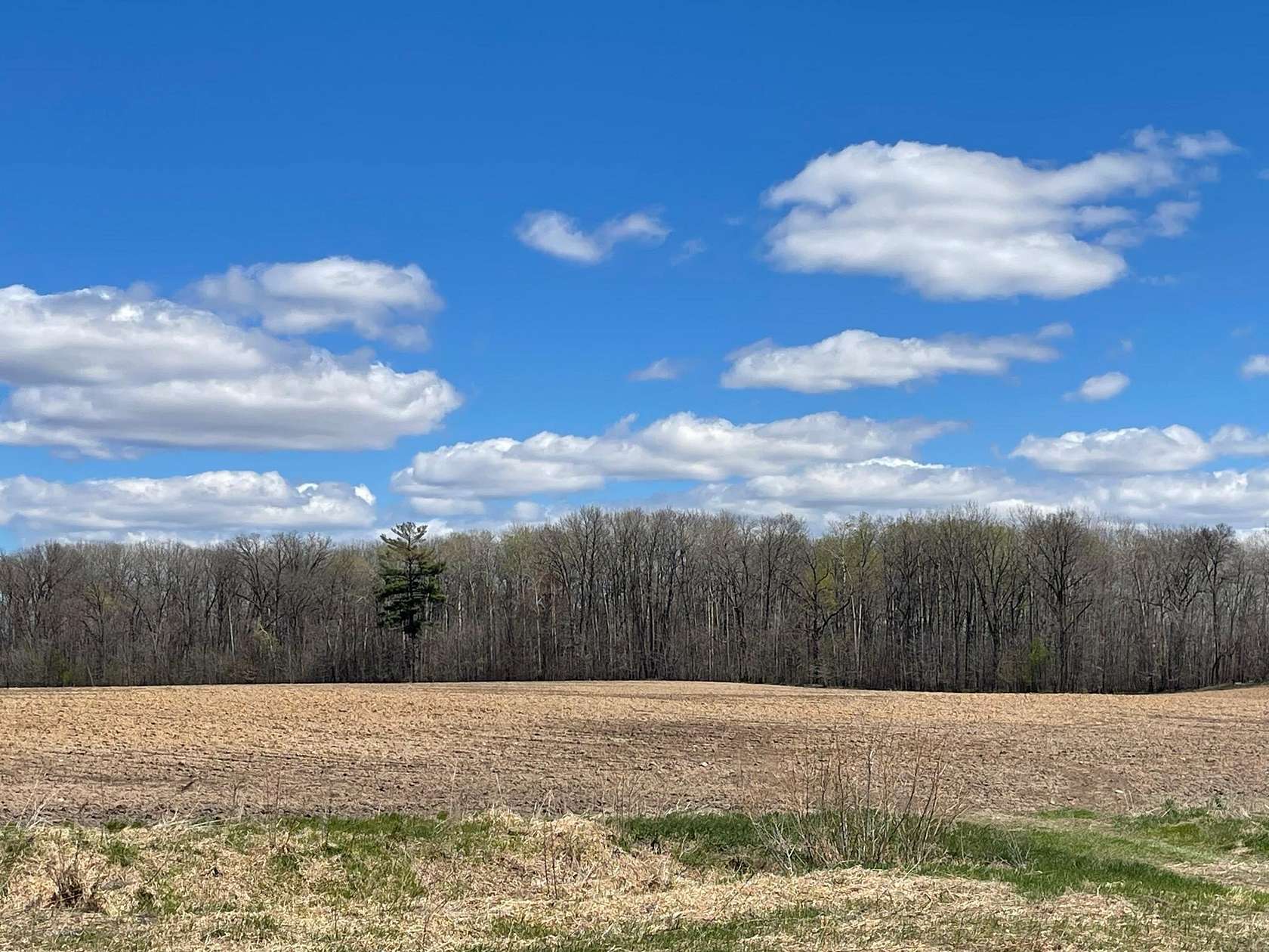 59.4 Acres of Land for Sale in Princeton, Minnesota