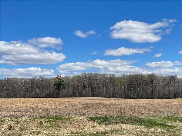 59.4 Acres of Land for Sale in Princeton, Minnesota