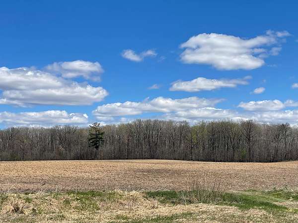 59.4 Acres of Land for Sale in Princeton, Minnesota