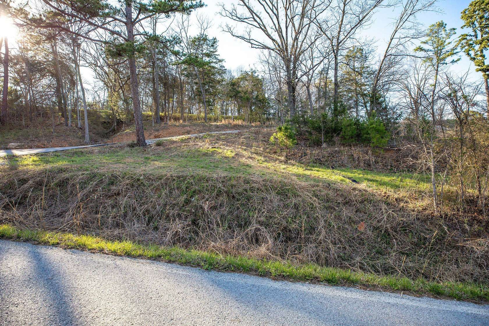 0.78 Acres of Residential Land for Sale in Blue Eye, Missouri