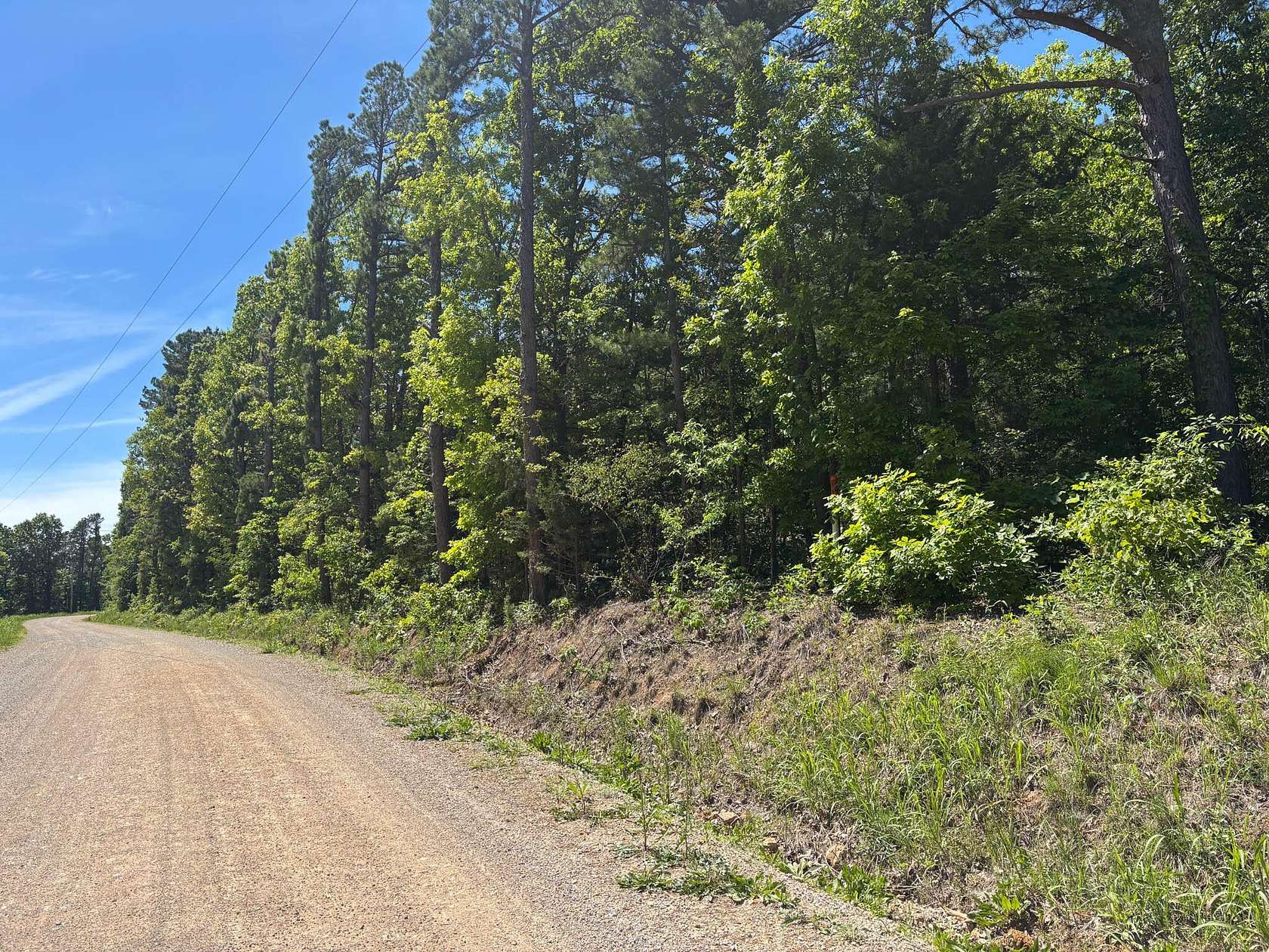 11 Acres of Land for Sale in Brixey, Missouri