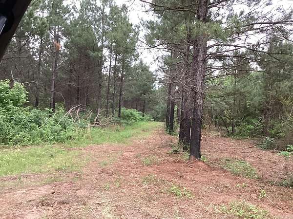 30 Acres of Recreational & Residential Land for Sale in Prescott, Arkansas