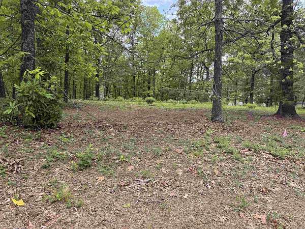 1 Acre of Residential Land for Sale in Texarkana, Texas