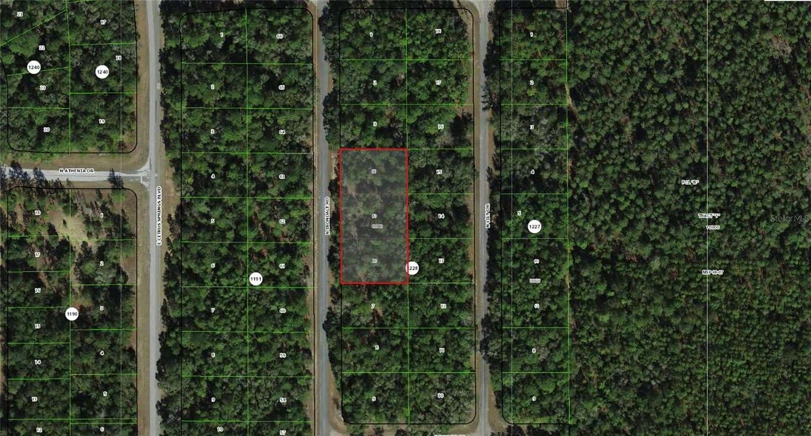 1 Acre of Residential Land for Sale in Dunnellon, Florida