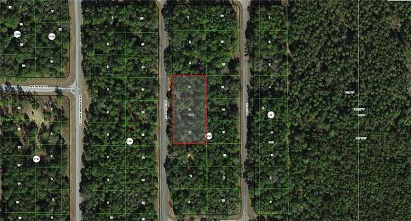 1 Acre of Residential Land for Sale in Dunnellon, Florida