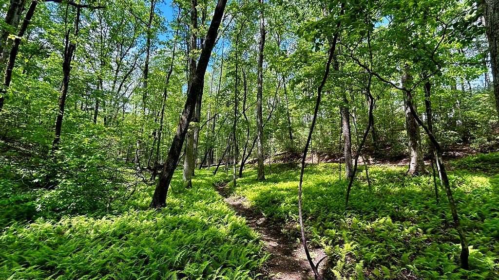 2.13 Acres of Residential Land for Sale in Ellijay, Georgia