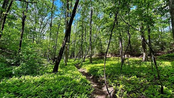 2.13 Acres of Residential Land for Sale in Ellijay, Georgia
