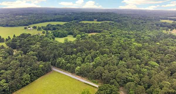 26.4 Acres of Recreational & Residential Land for Sale in Brownsboro, Texas