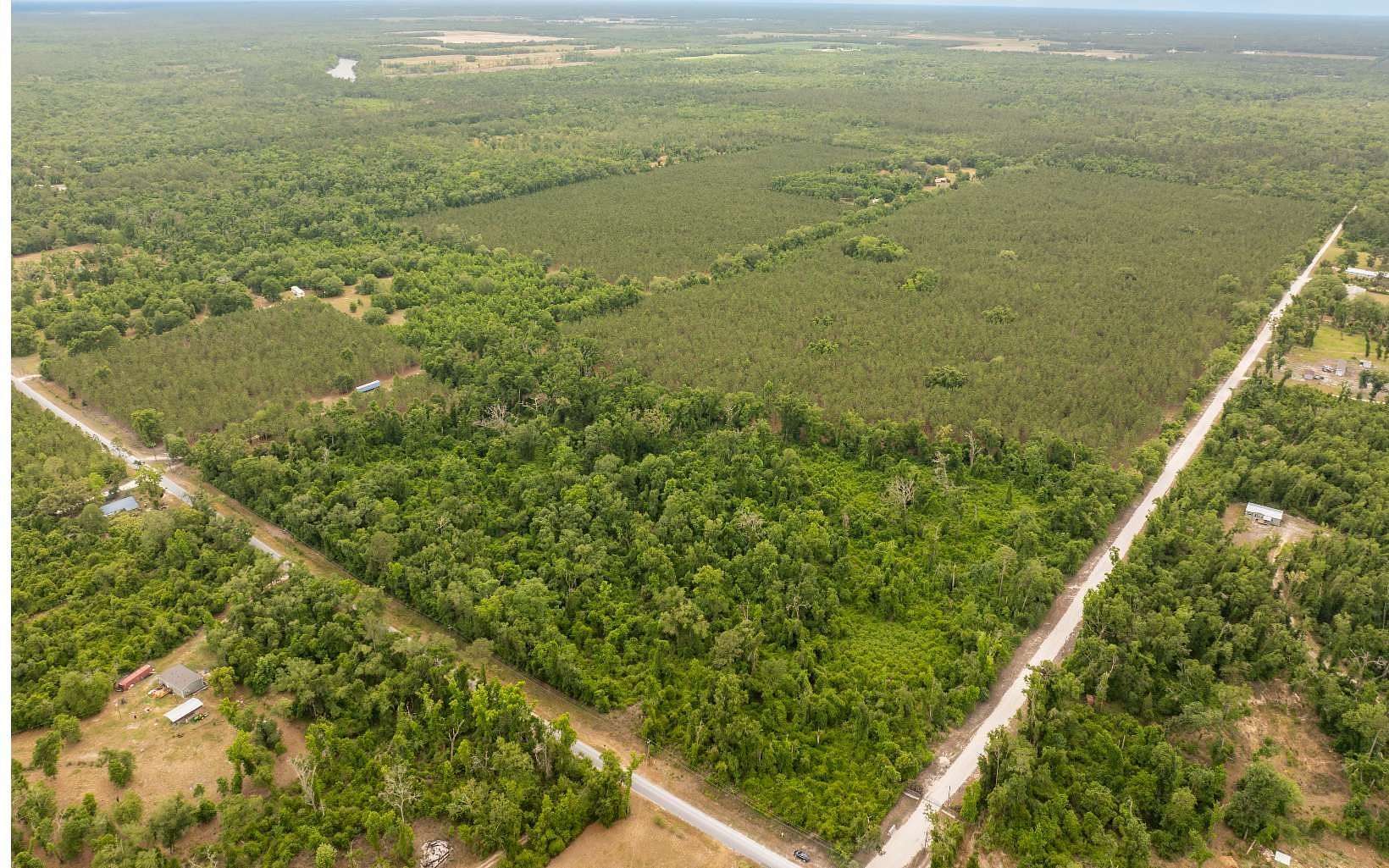 125 Acres of Agricultural & Residential Land for Sale in Live Oak, Florida
