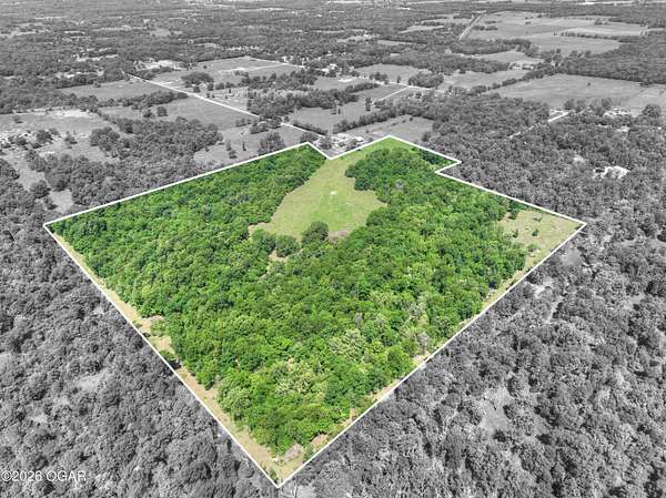 39 Acres of Land for Sale in Goodman, Missouri