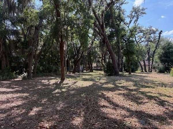 0.46 Acres of Residential Land for Sale in Temple Terrace, Florida
