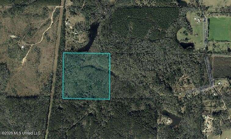 40 Acres of Recreational Land for Sale in Perkinston, Mississippi