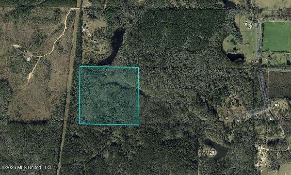 40 Acres of Recreational Land for Sale in Perkinston, Mississippi