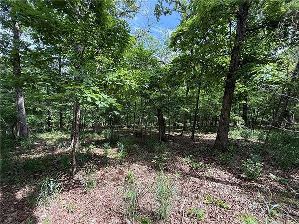 10 Acres of Land for Sale in Eureka Springs, Arkansas
