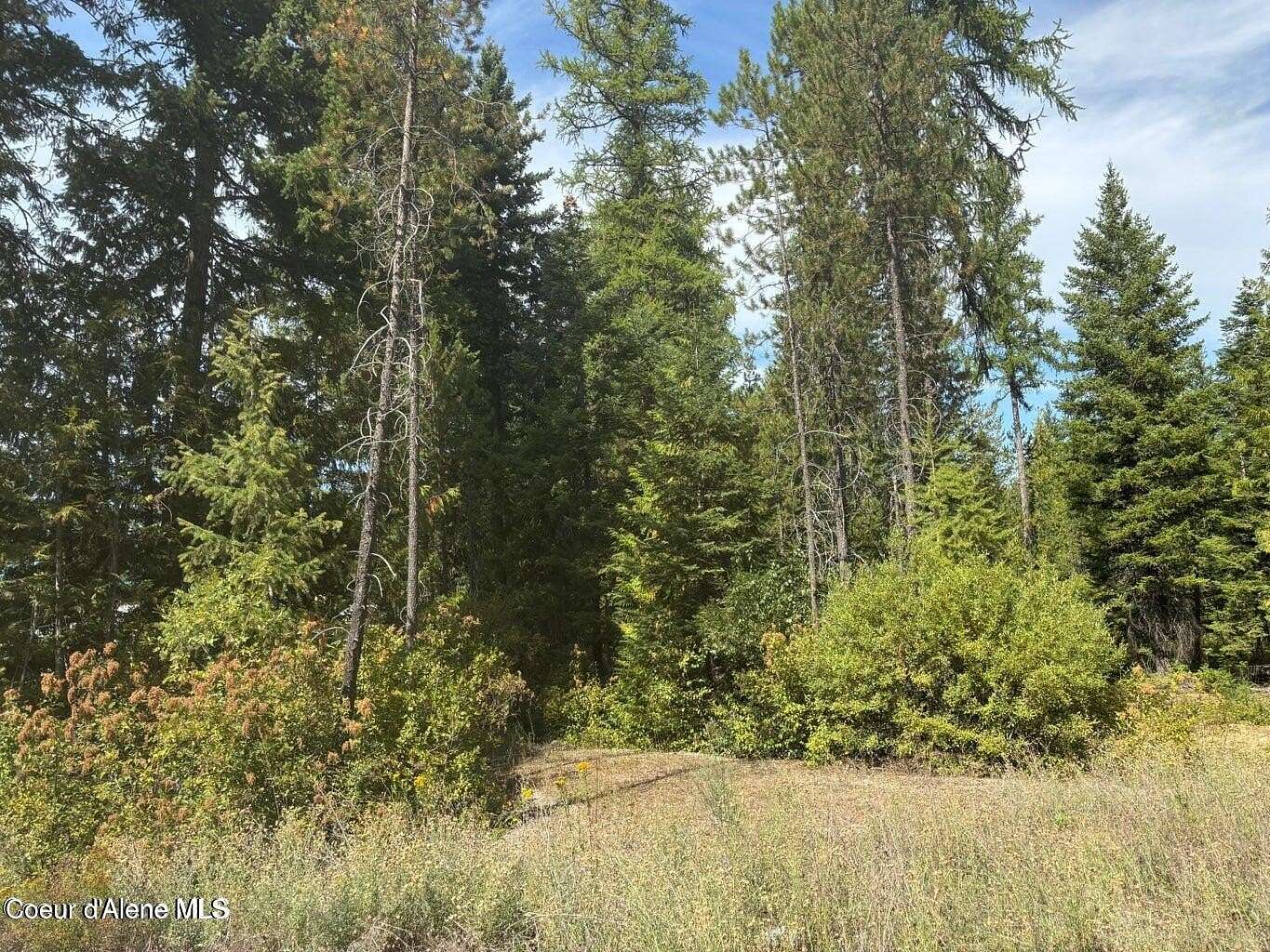 5.12 Acres of Residential Land for Sale in Spirit Lake, Idaho