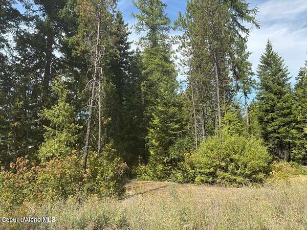 5.12 Acres of Residential Land for Sale in Spirit Lake, Idaho