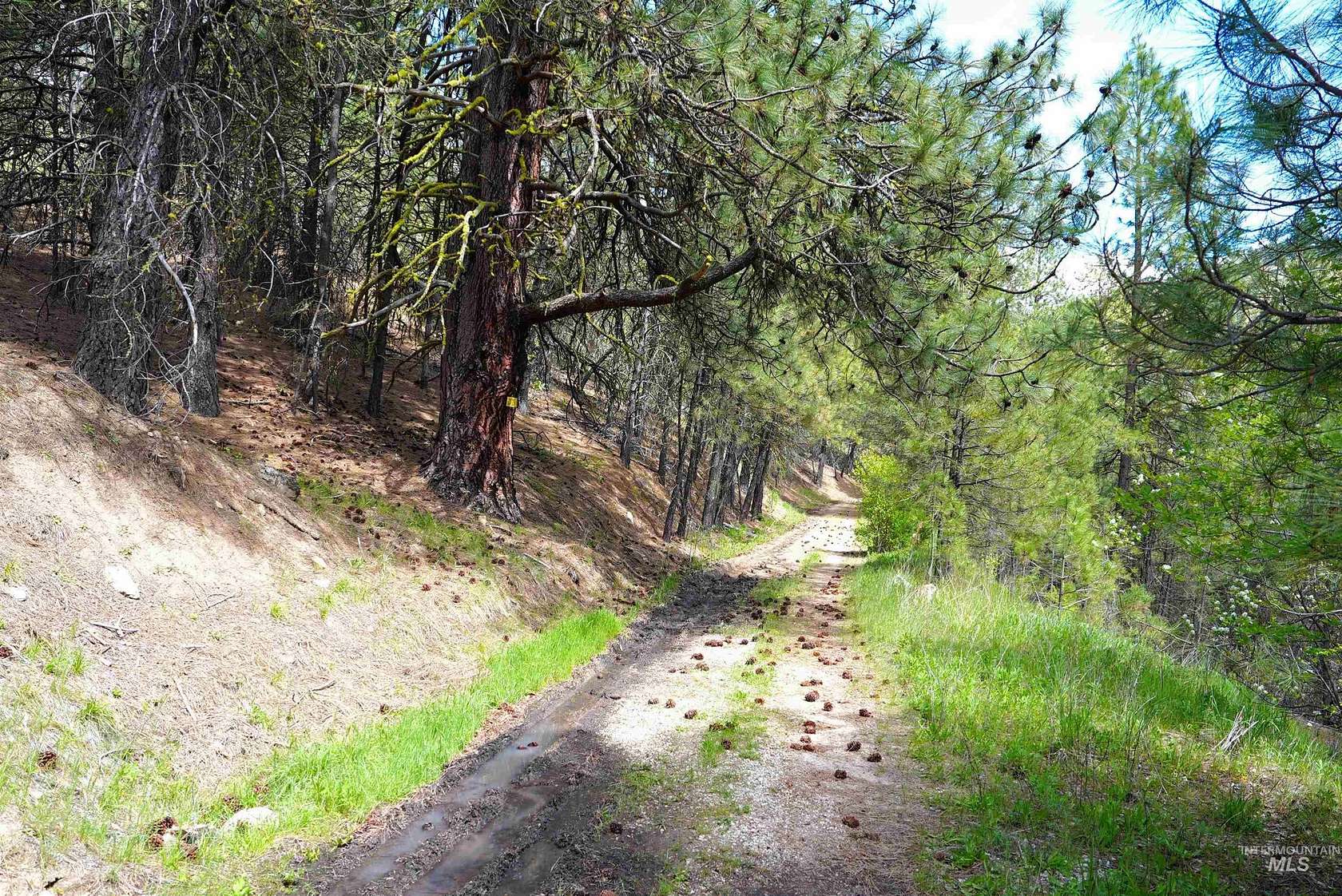 0.72 Acres of Land for Sale in Garden Valley, Idaho