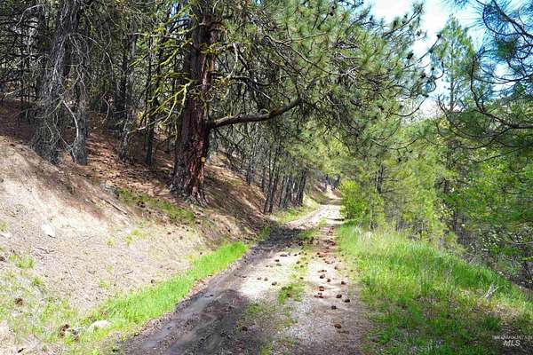 0.72 Acres of Land for Sale in Garden Valley, Idaho