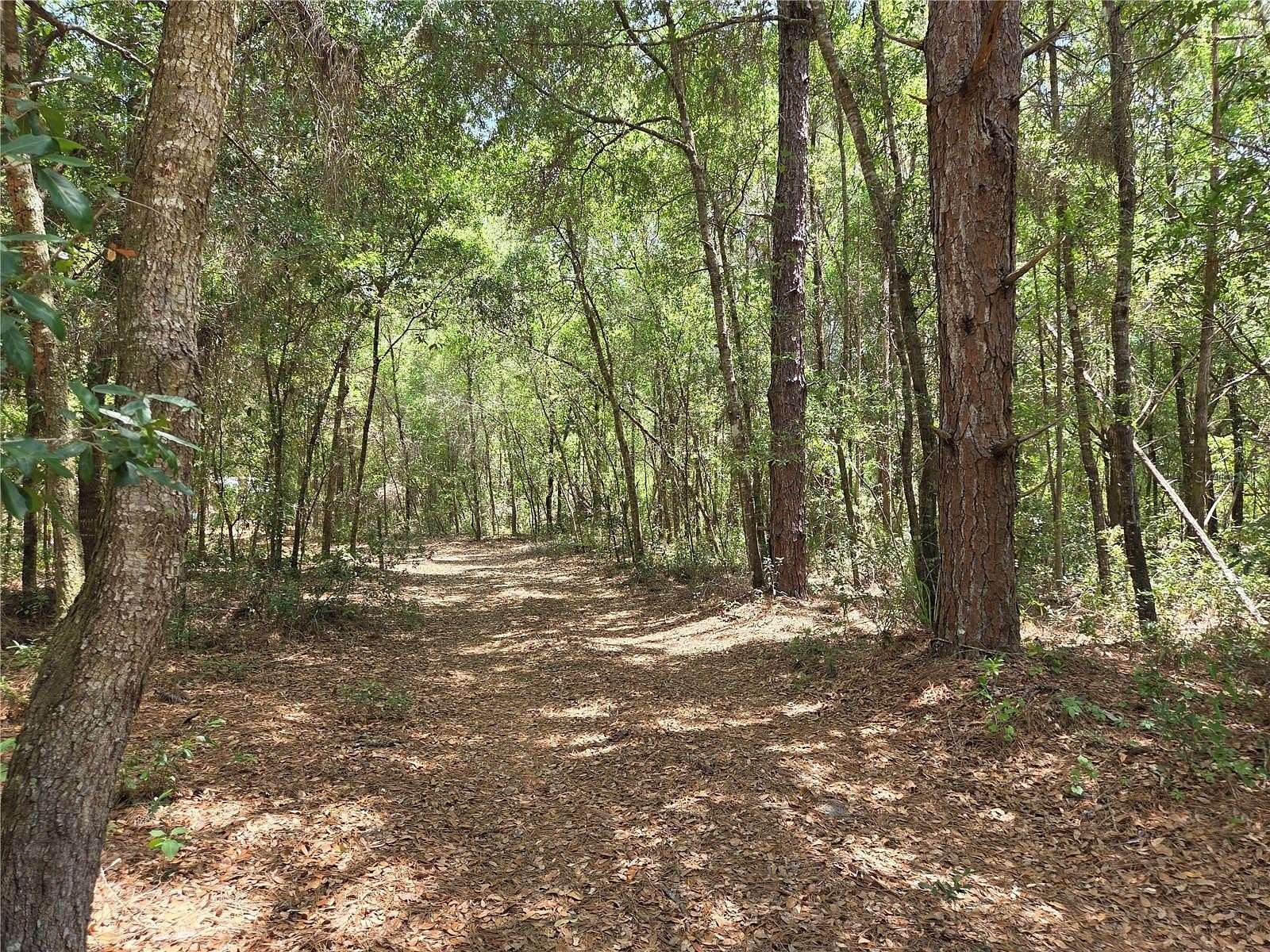 1.26 Acres of Land for Sale in Dunnellon, Florida