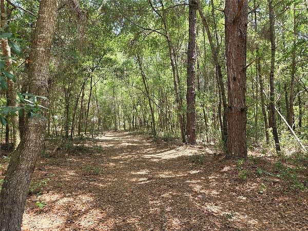 1.26 Acres of Land for Sale in Dunnellon, Florida