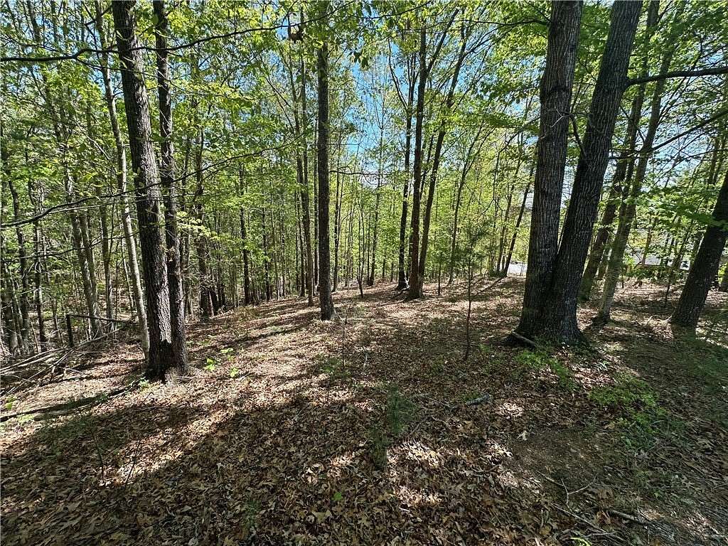 0.99 Acres of Residential Land for Sale in Sunset, South Carolina