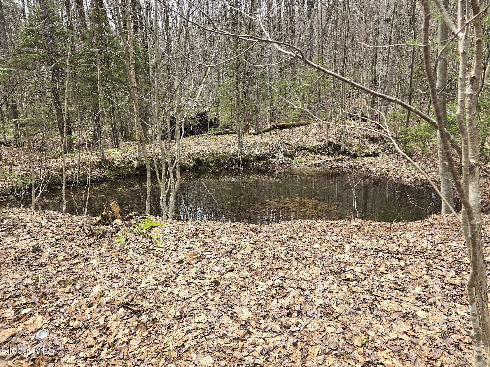 26.2 Acres of Recreational & Residential Land for Sale in Stamford, Vermont