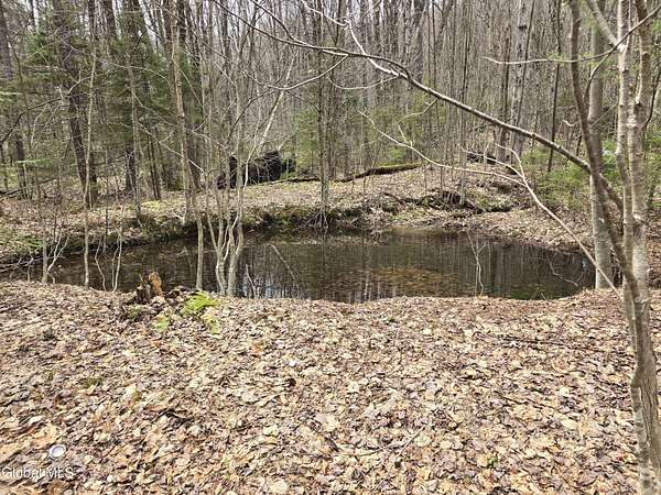 26.2 Acres of Recreational & Residential Land for Sale in Stamford, Vermont