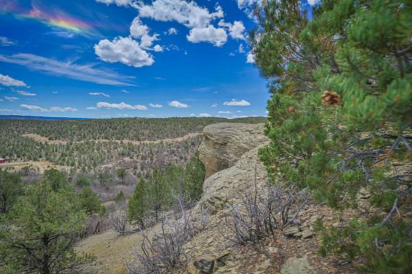 40 Acres of Land for Sale in Weston, Colorado