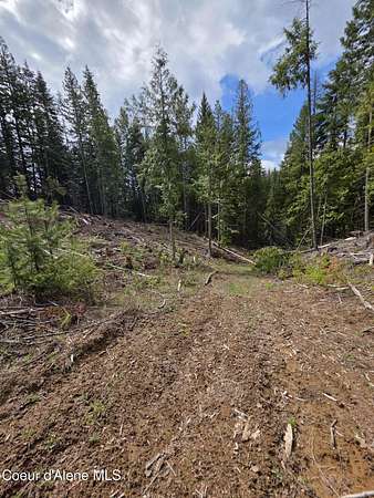10 Acres of Recreational & Residential Land for Sale in St. Maries, Idaho