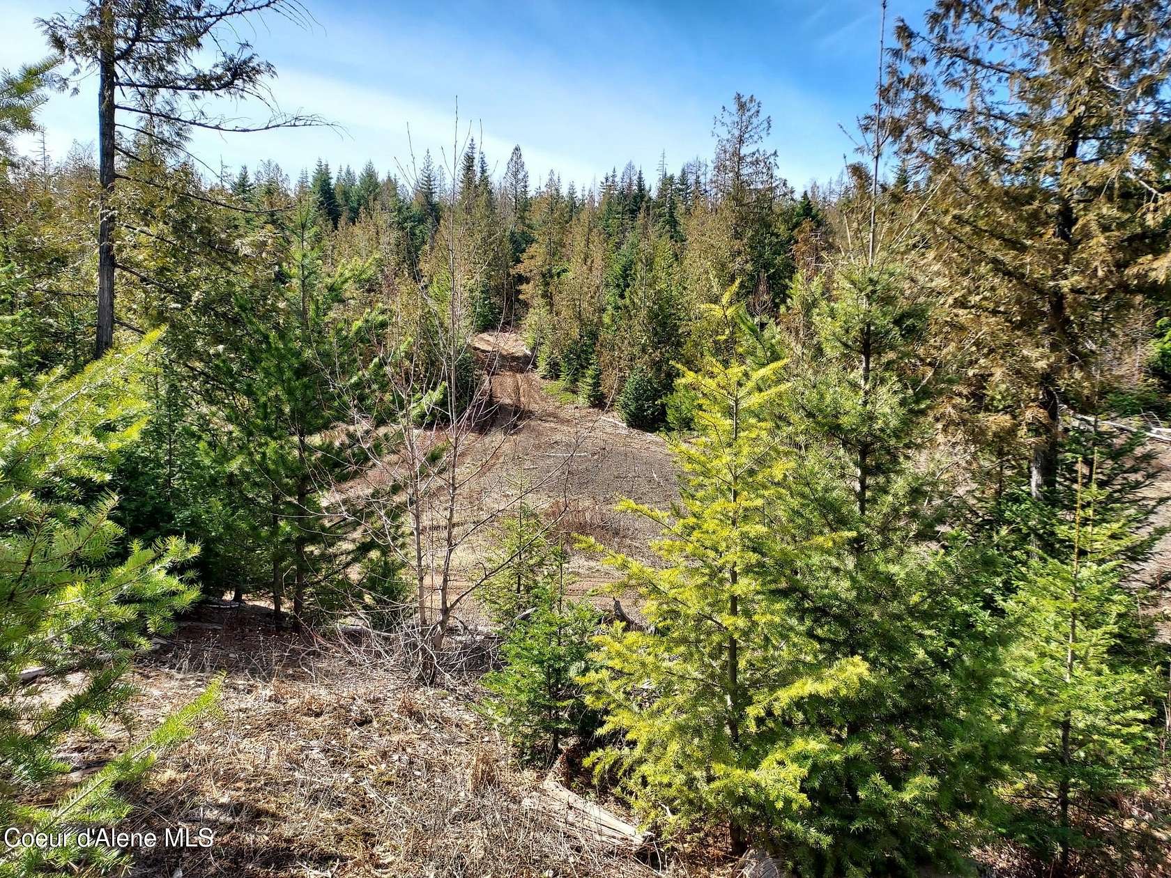 17.3 Acres of Land for Sale in Priest River, Idaho