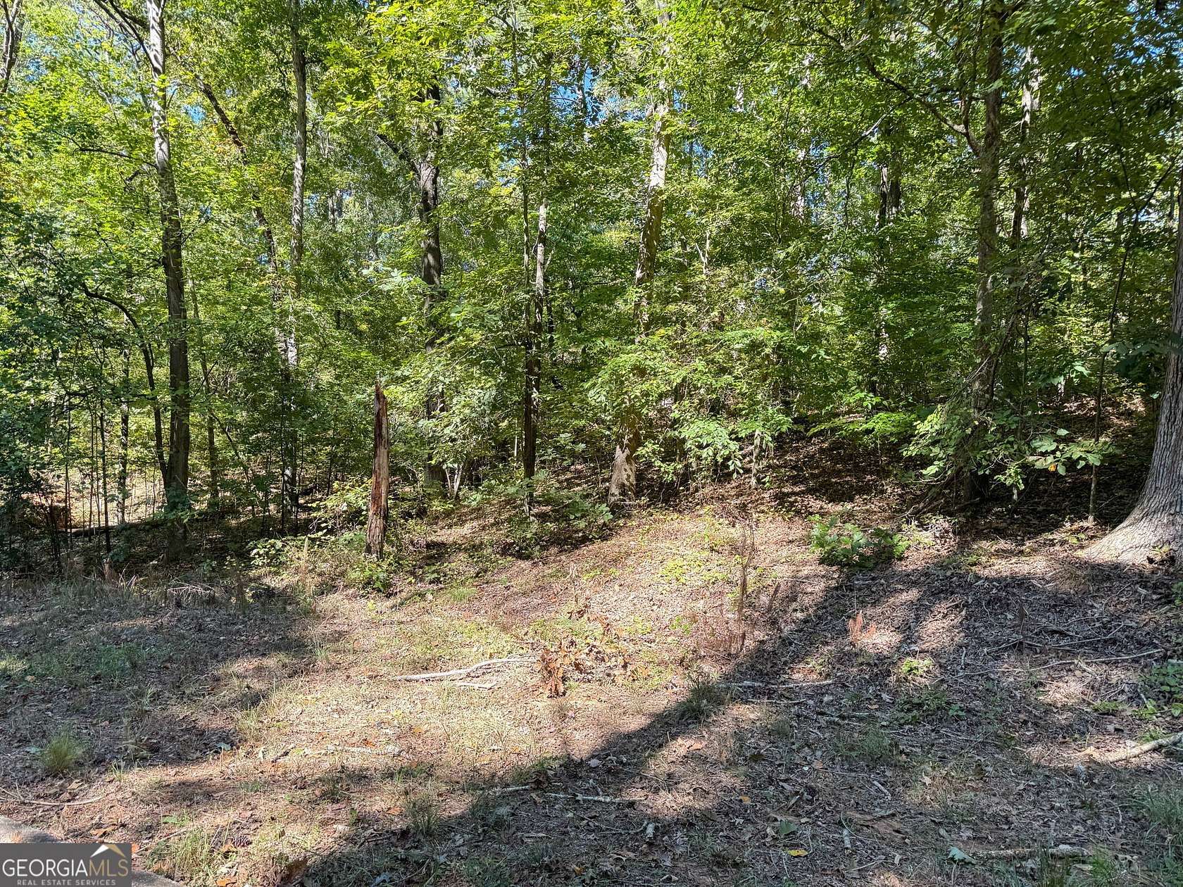 Residential Land for Sale in Covington, Georgia