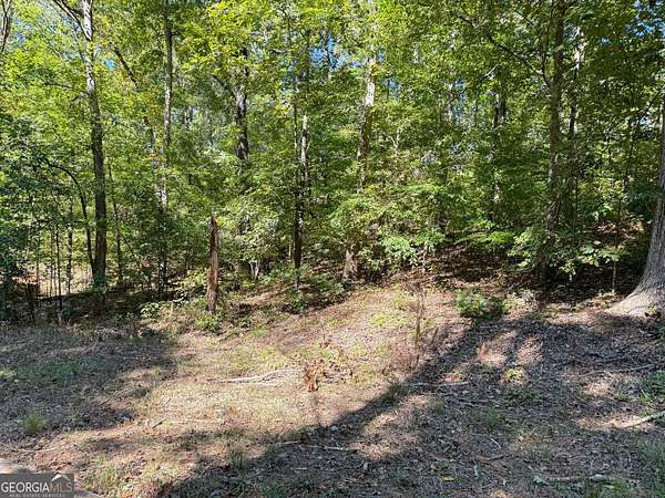 Residential Land for Sale in Covington, Georgia
