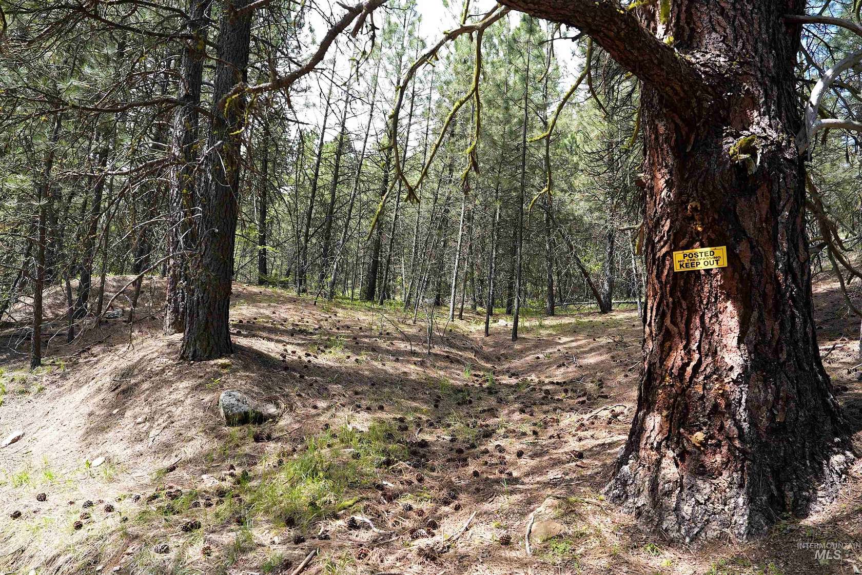 0.41 Acres of Land for Sale in Garden Valley, Idaho