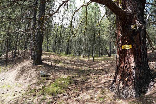 0.41 Acres of Land for Sale in Garden Valley, Idaho