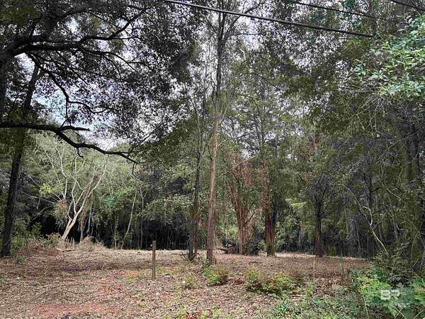 1.65 Acres of Residential Land for Sale in Mobile, Alabama