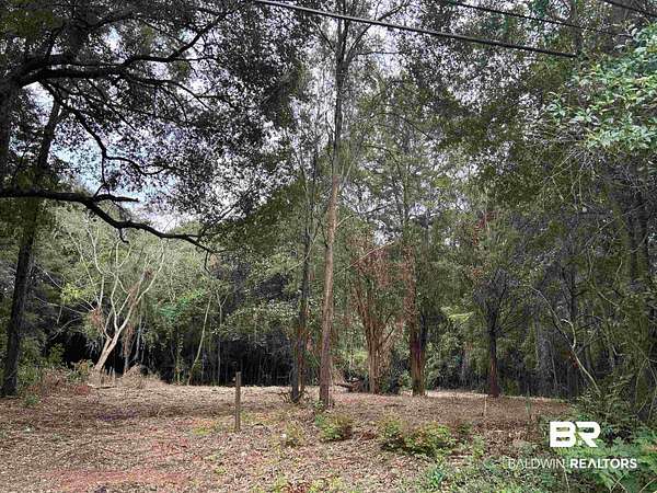 1.65 Acres of Residential Land for Sale in Mobile, Alabama