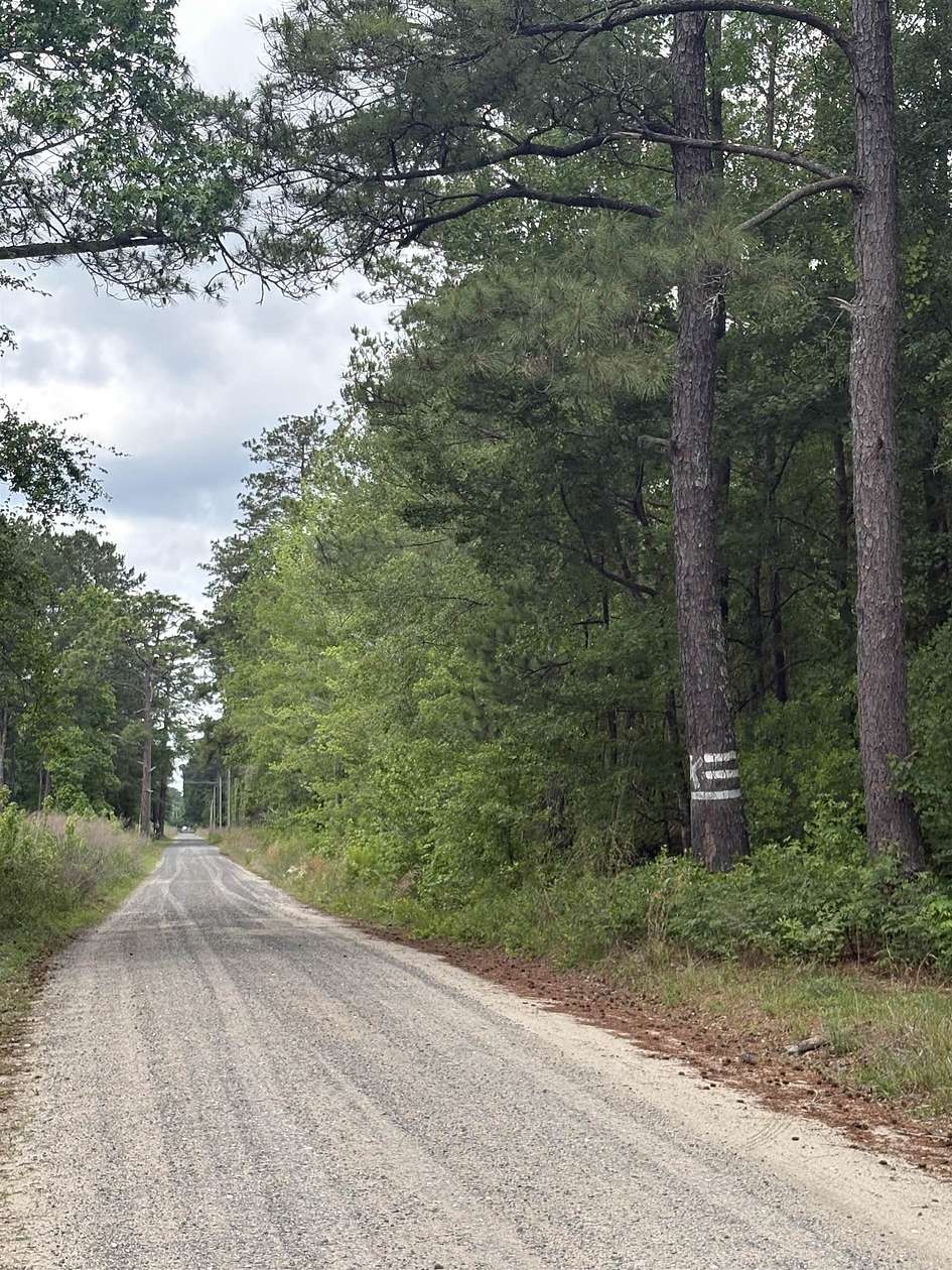 71.9 Acres of Recreational & Residential Land for Sale in Cades, South Carolina