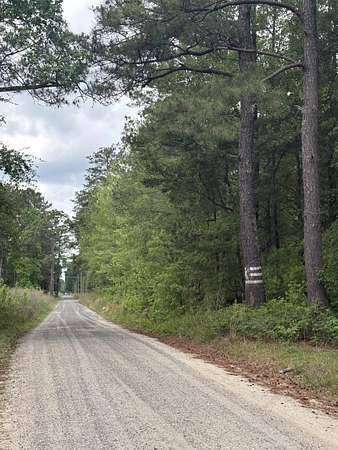 71.9 Acres of Recreational & Residential Land for Sale in Cades, South Carolina
