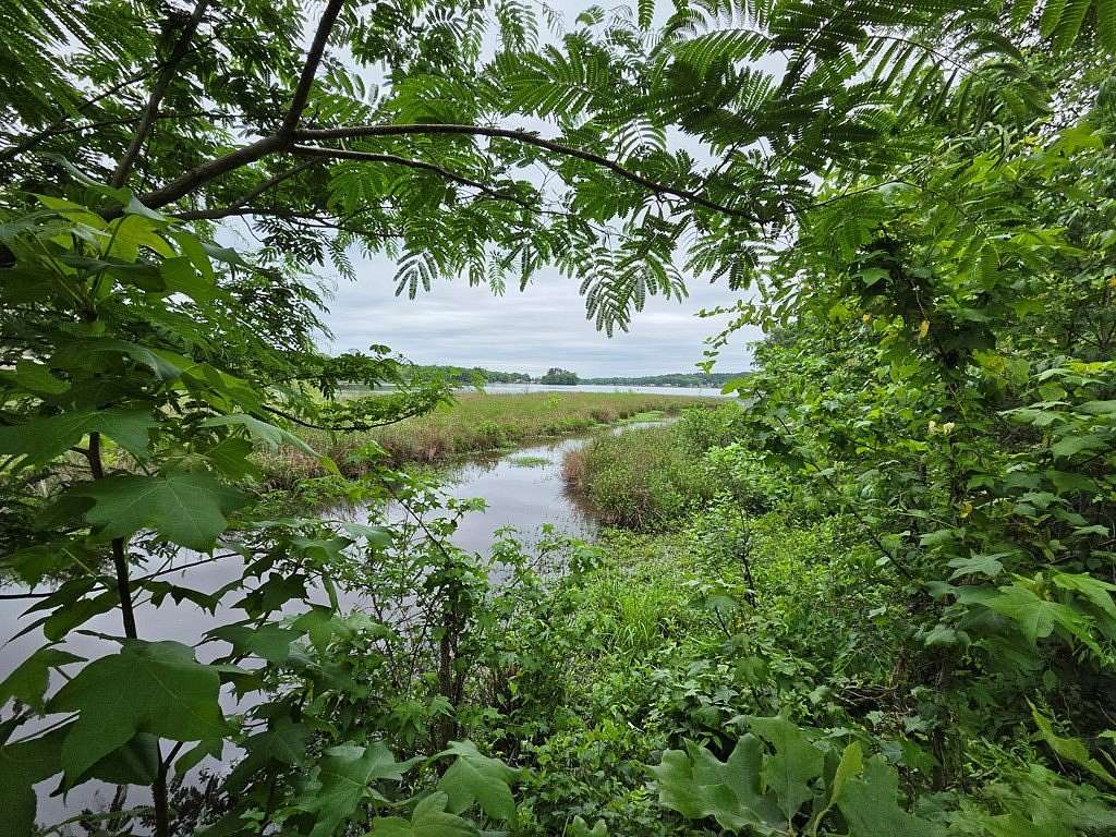 1.17 Acres of Residential Land for Sale in Waterloo, South Carolina