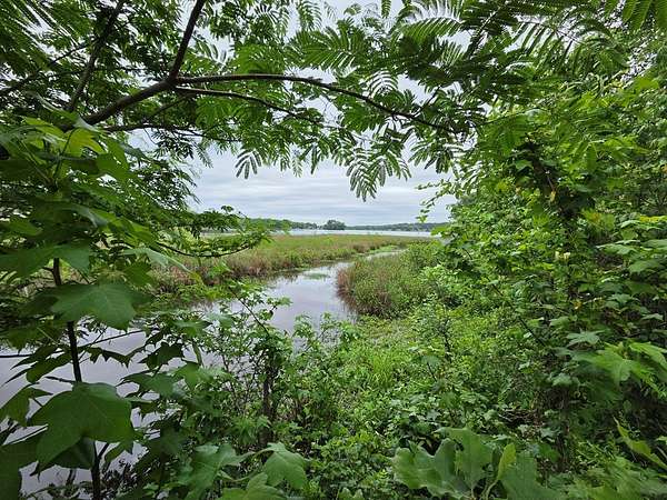 1.17 Acres of Residential Land for Sale in Waterloo, South Carolina