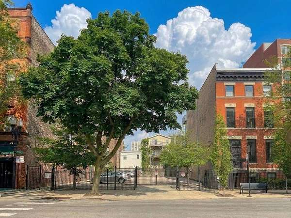 0.17 Acres of Mixed-Use Land for Sale in Chicago, Illinois