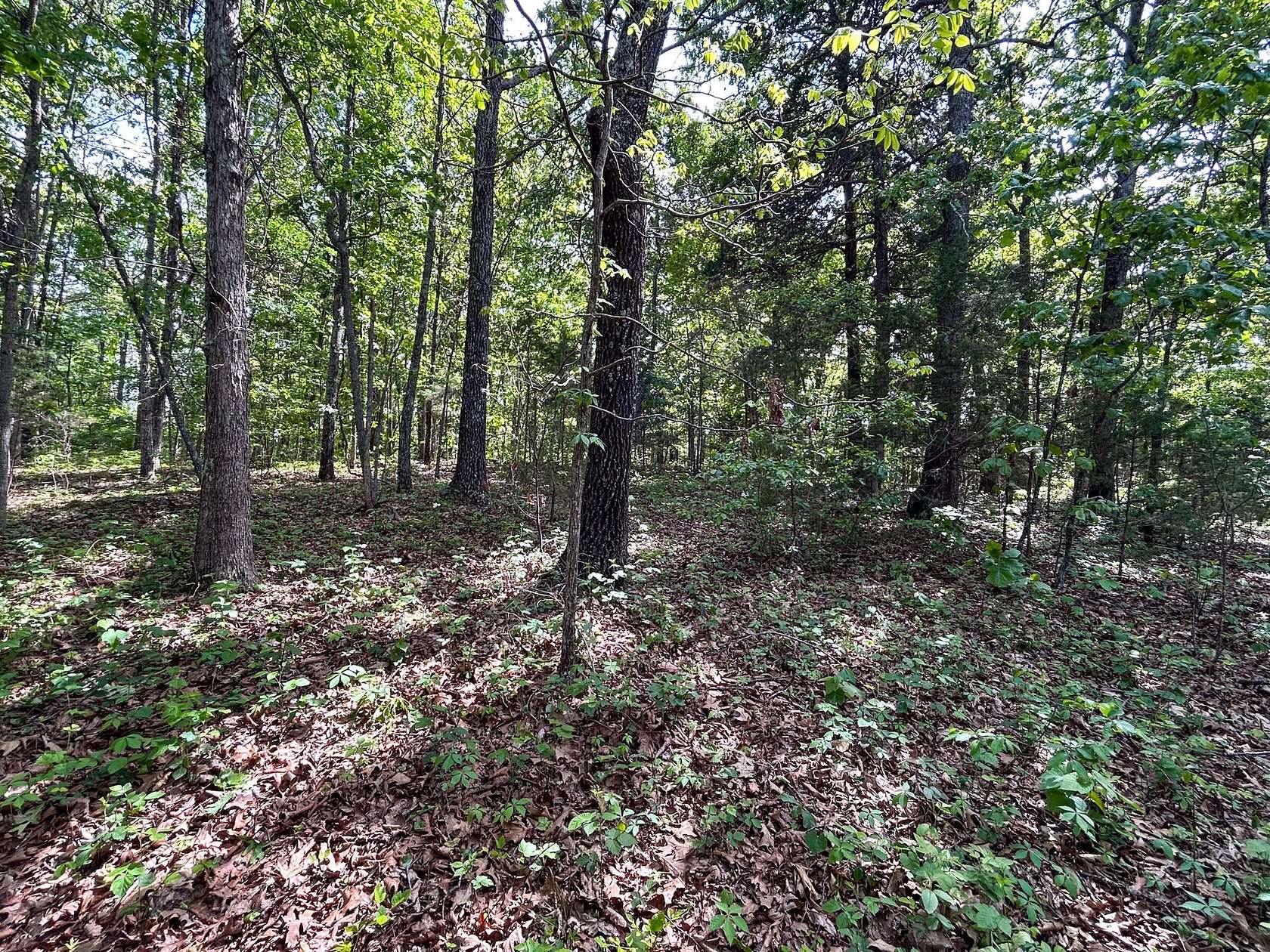 34 Acres of Recreational Land for Sale in Bakersfield, Missouri