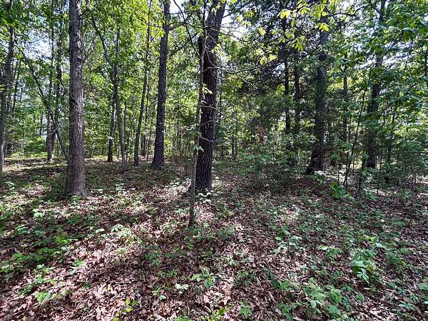 34 Acres of Recreational Land for Sale in Bakersfield, Missouri