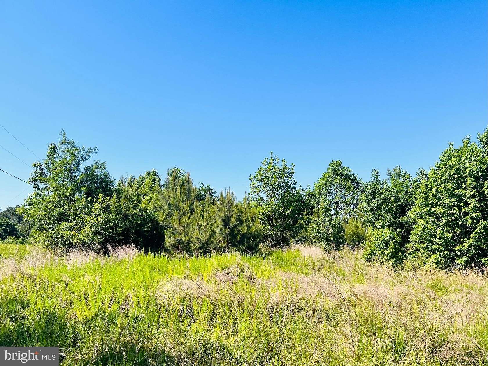 7.77 Acres of Land for Sale in Warsaw, Virginia
