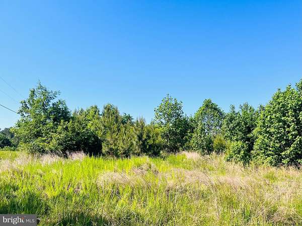 7.77 Acres of Land for Sale in Warsaw, Virginia